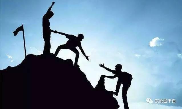 马云的村淘,马云村淘