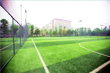 国足专业足球场比赛,国足五人制足球赛程