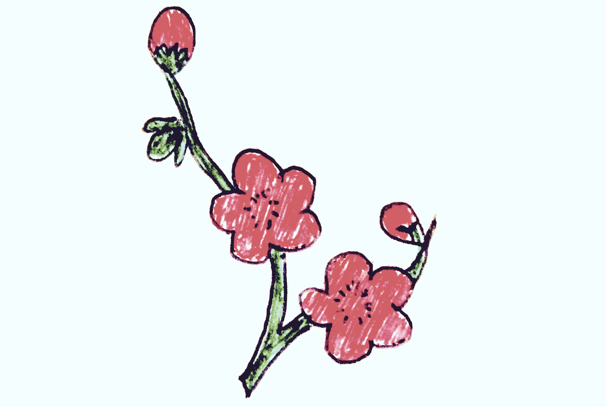 梅花13简笔画简单又漂亮迷你版,梅花画法简笔画