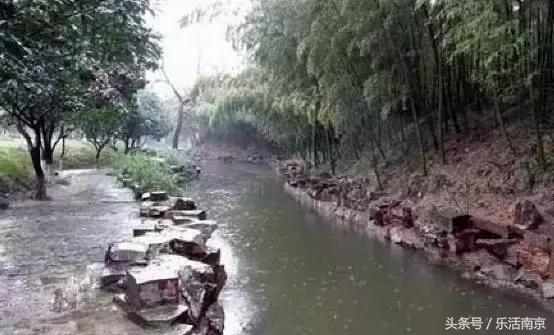 免费公园南京,南京十大公园排行榜