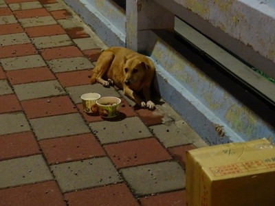 灵魂交换后的生活,灵魂交换的经历