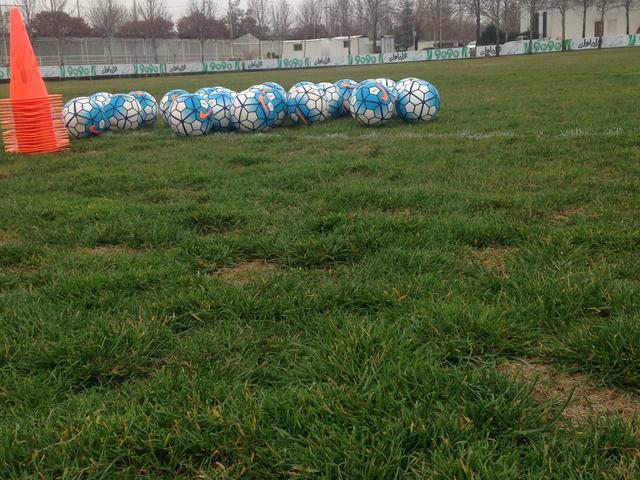 球迷:伊朗盘外招不足惧,望红色绽放德黑兰阿扎比