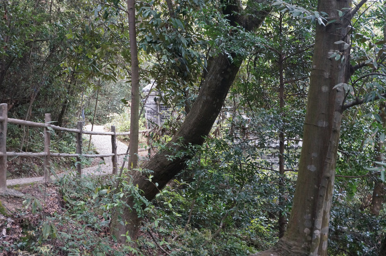 福建邵武旅游景点,南平温泉旅游景点大全