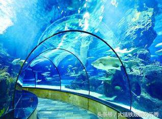 鼓浪屿适合玩半天还是一天,五个小时怎么玩转鼓浪屿