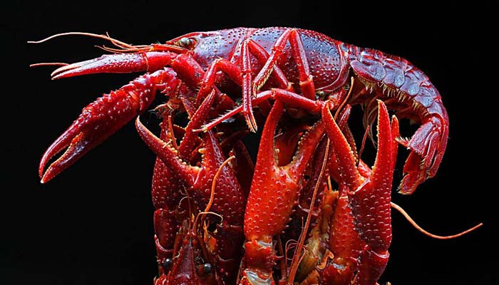 餐饮创业怎么找机会赚钱,餐饮创业的十大机会