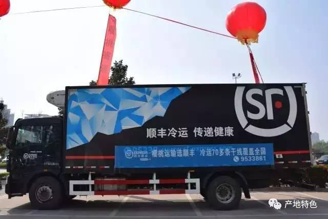 顺丰樱桃销售,顺丰樱桃最新信息