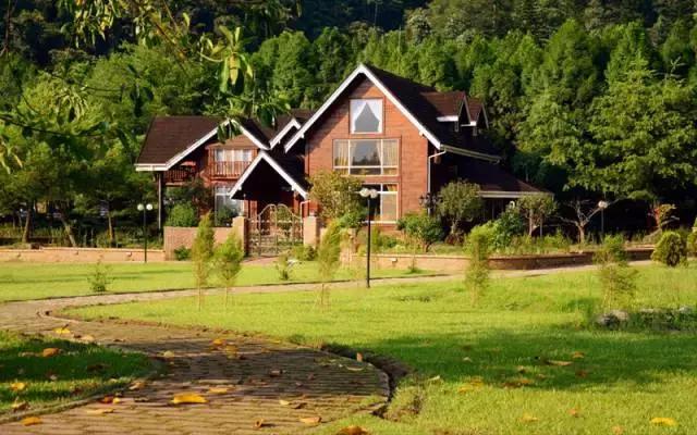 镇兴中国丨广大乡村，才是一块又香又大的肥肉