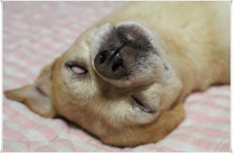 外国搞怪整蛊开头,整蛊的奇葩招数