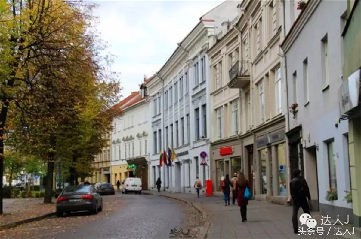 猜猜哪个国家连刺猬都有路牌？