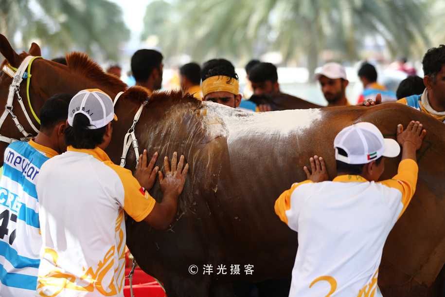 为什么迪拜土豪最有钱,真正的迪拜土豪