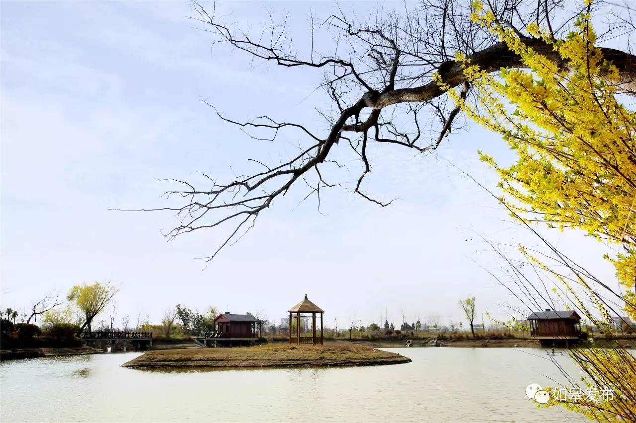 定了!从今天起,如皋白蒲古镇将列入每个人的旅行清单!