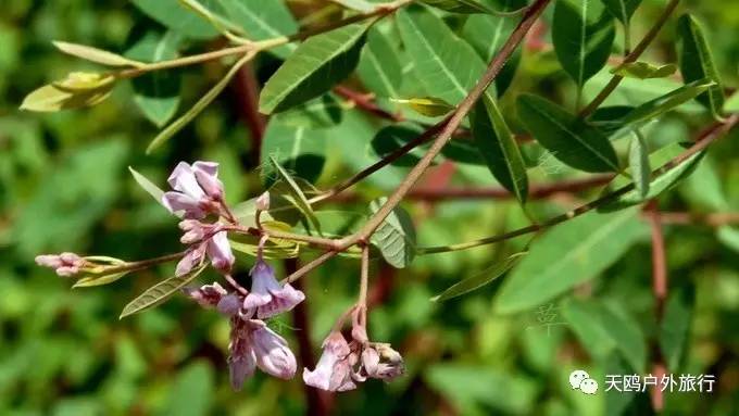 南疆最值得去的几个地方,南疆尉犁的景点