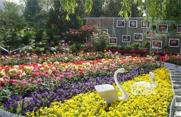 郑州五一适合聚餐的地方,五一郑州月季公园