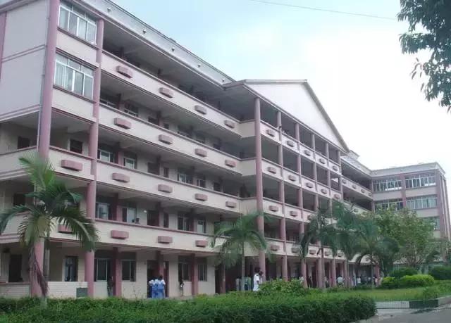 肇庆市全国特色学校,肇庆市足球特色学校
