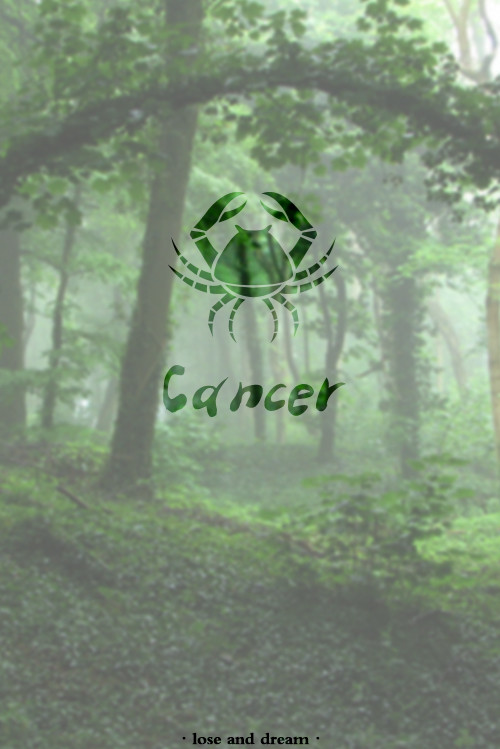 十二星座壁纸图片高清手机,十二星座高清动态触摸壁纸下载