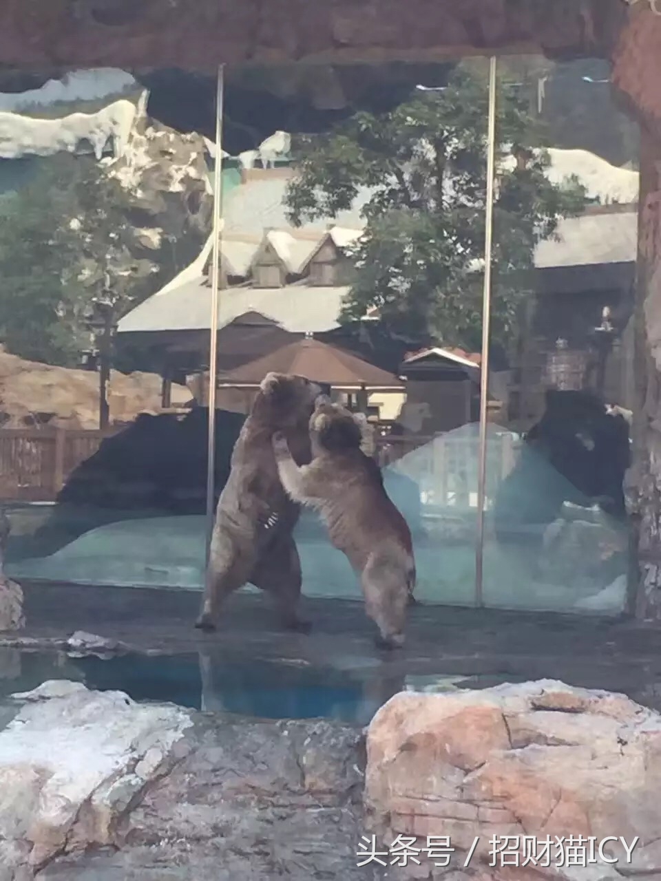 珠海长隆奇幻之旅,广州珠海长隆两天一夜攻略