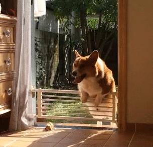 妹子说她没整容怎么解释,女性整容明星却说自己没整容