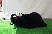 日本0度可乐真的能减肥,日本减肥可乐