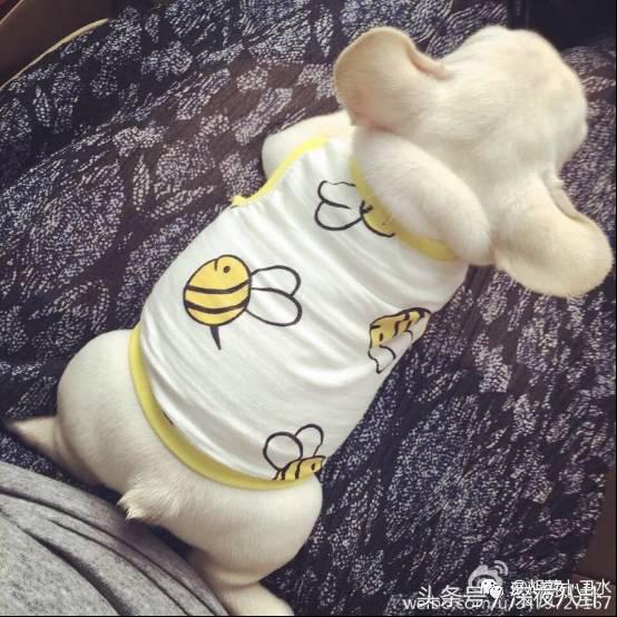 婚内招妓转移财产,花千万养小三,国足队员姜至鹏破门挺进出轨队