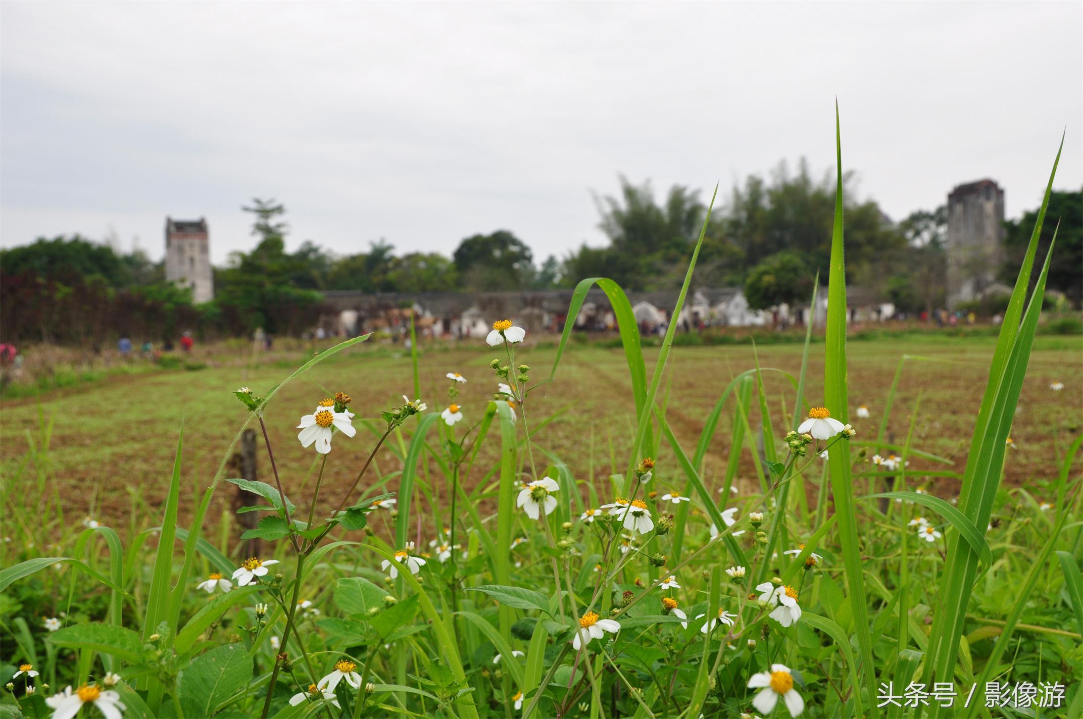 深圳观澜版画村地址,深圳清明踏青线路推荐