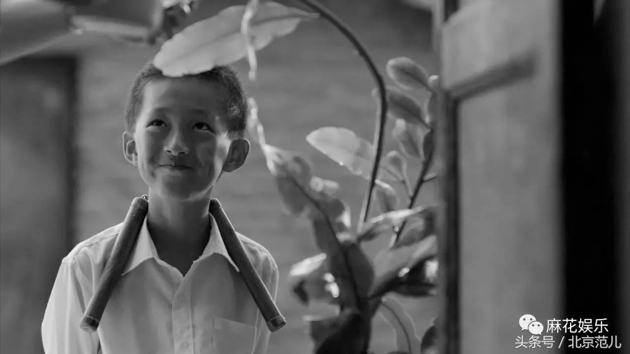 电影八月全部,电影八月完整版