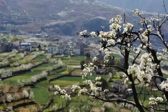 清明只放一天假,清明三天小假期