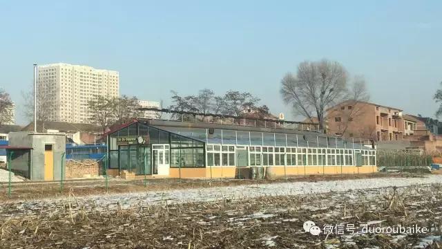 一入肉坑深似海下一句,一入肉坑深似海