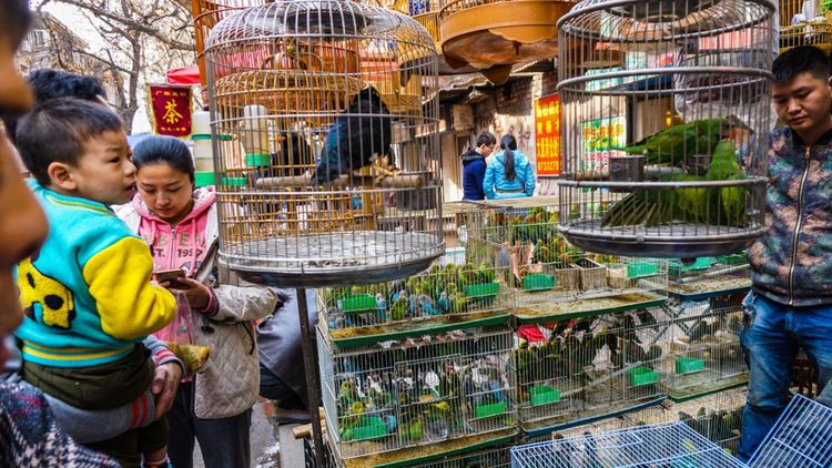 实拍：西安市井的味道