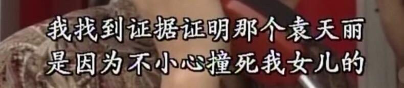 刑事侦缉档案袁天丽马成昌第五集,刑事侦缉档案袁天丽