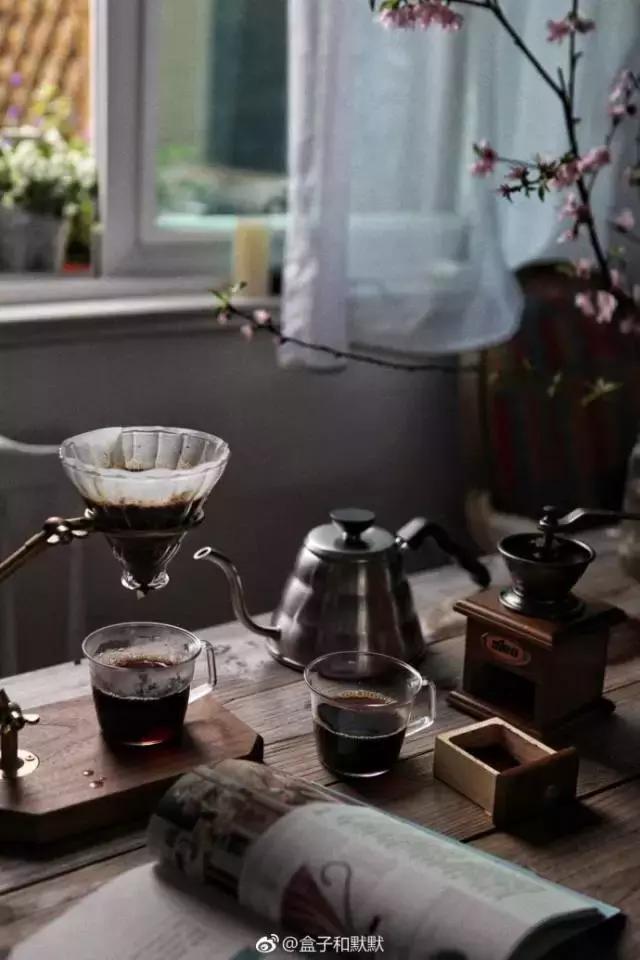 白富美气质优雅,端庄优雅白富美