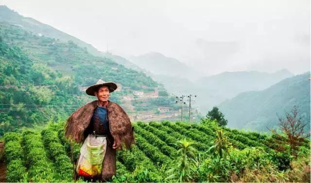 好的都去了中南海？普通人花再多钱也买不到真的？！
