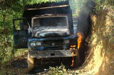 路上碾死蛇的电影全集,夜里路上兔子拦路被撞死