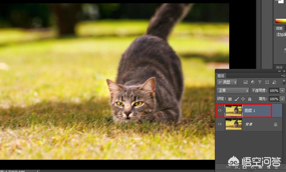 拍了一张照片怎么用ps处理,ps怎么矫正拍歪的照片