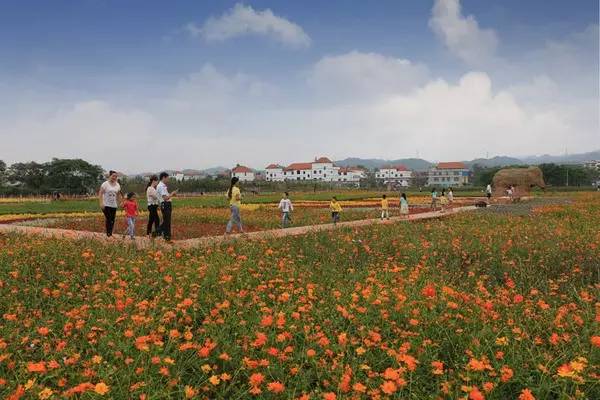 赣州4a级以上国有旅游景区,江西赣州的旅游景区有哪些