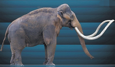 复活猛犸象最大的困难是什么,科普如何复活一只猛犸象