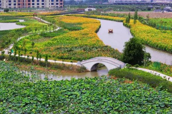 东莞下雨天一日游必去的景点,东莞清明有什么地方好玩的