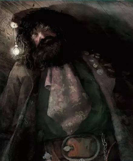 斯内普在原著中的插图,哈利波特和斯内普趣图