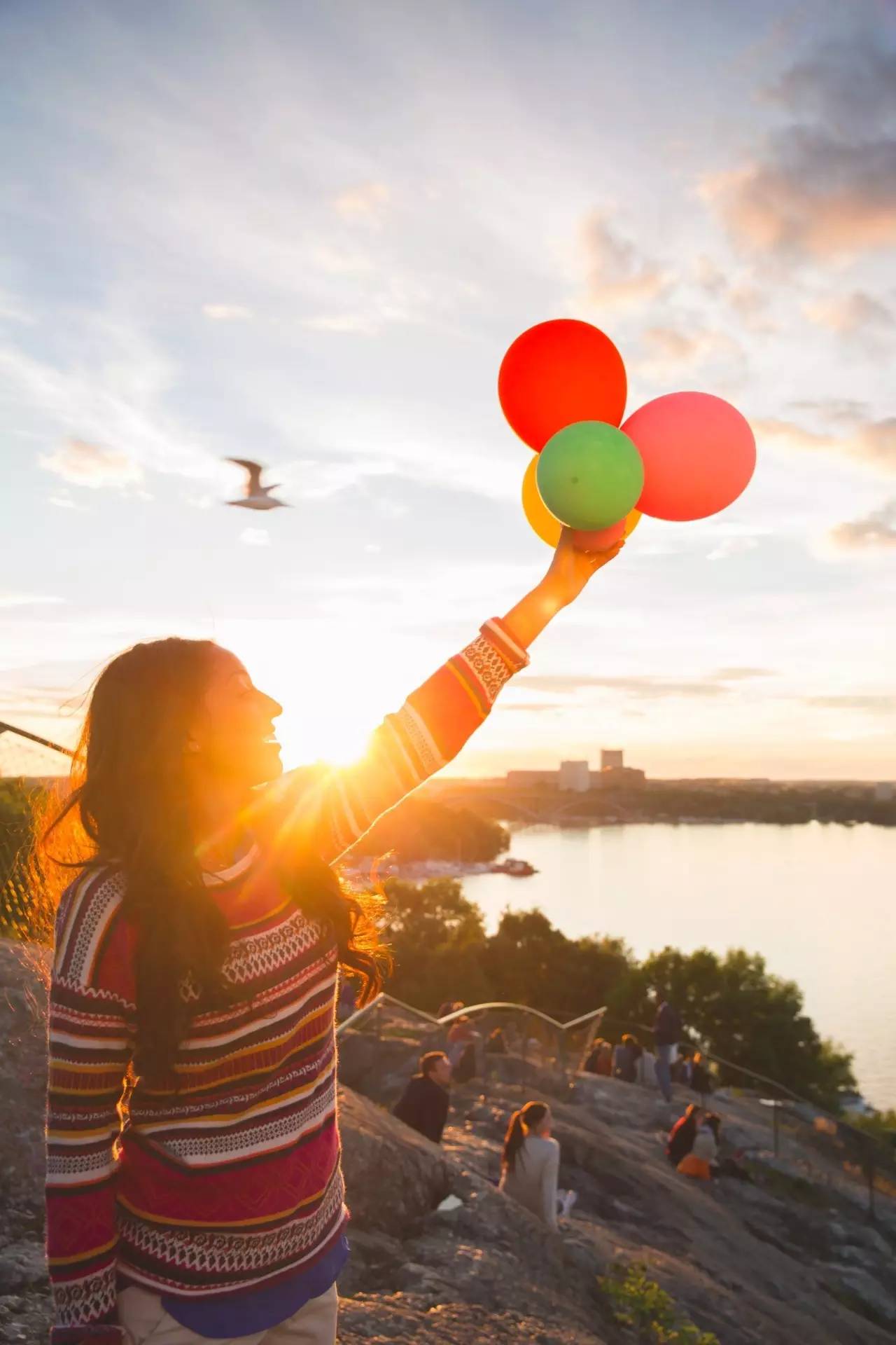 鏄ョ敯鑺辫姳鏃ュ父,鏄ョ敯鑺辫姳鑻辫
