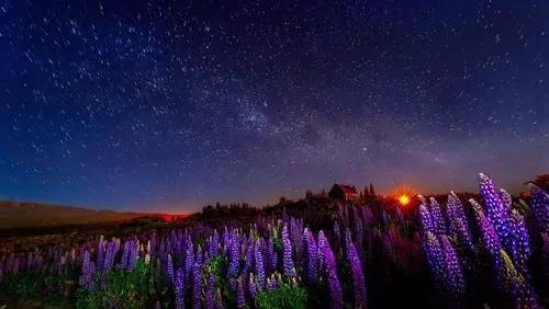 到新西兰旅游有什么好处,新西兰旅游有什么好