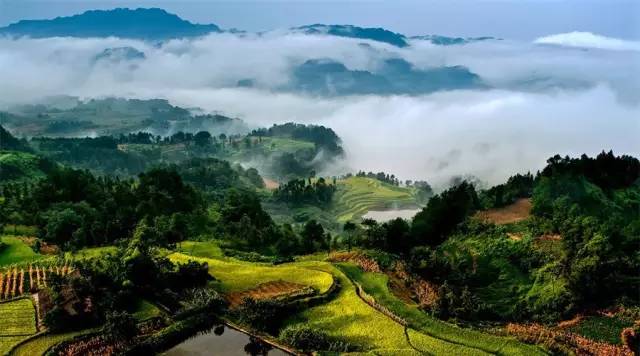 重庆最委屈的城市,重庆最落后的五个区