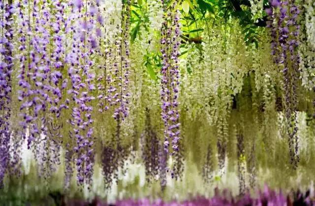 上海降温下雨了吗最近,上海降温最新通知