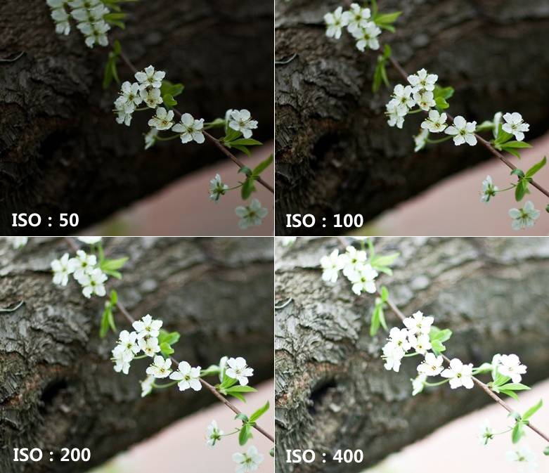 日常生活拍照入门级相机推荐,好用的拍照相机有哪些