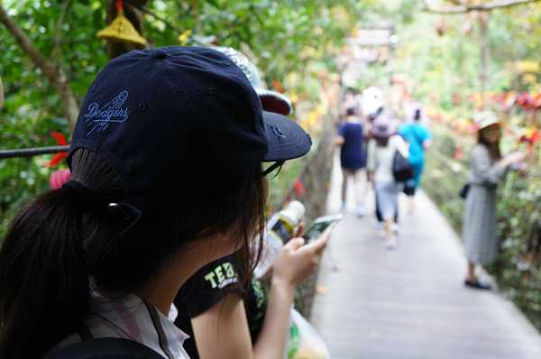 呀诺达热带雨林公园票价,呀诺达热带雨林景区官网