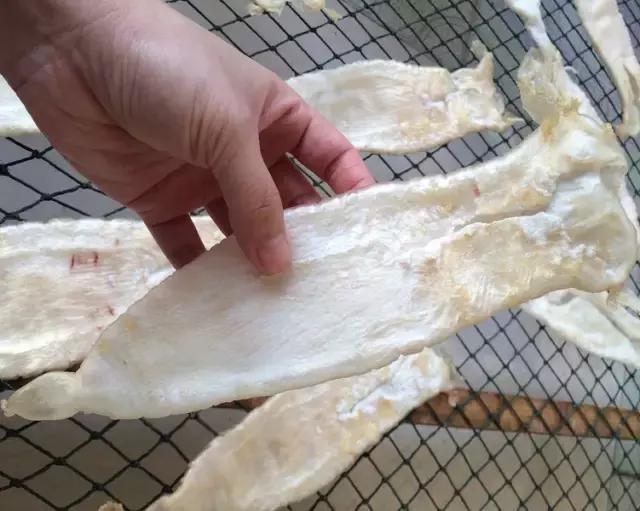 明星推荐的花胶品牌是真的吗,最好的花胶是什么样的