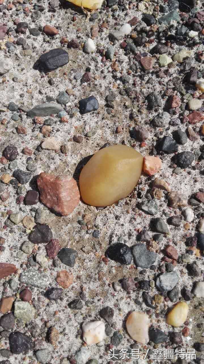 金丝玉宝石光在哪捡,捡金丝玉海蓝宝石的地方