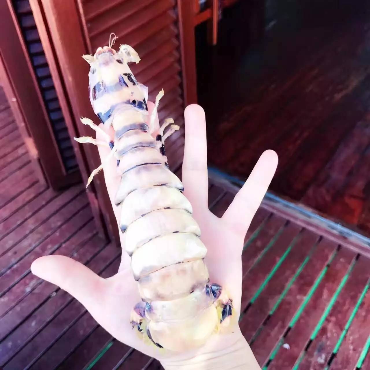 到底辣妈们在马布海洋日有多惬意？看视频就知道了！