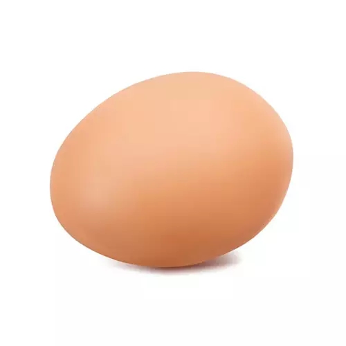 海胆营养丰富,海胆营养辅食有哪些做法