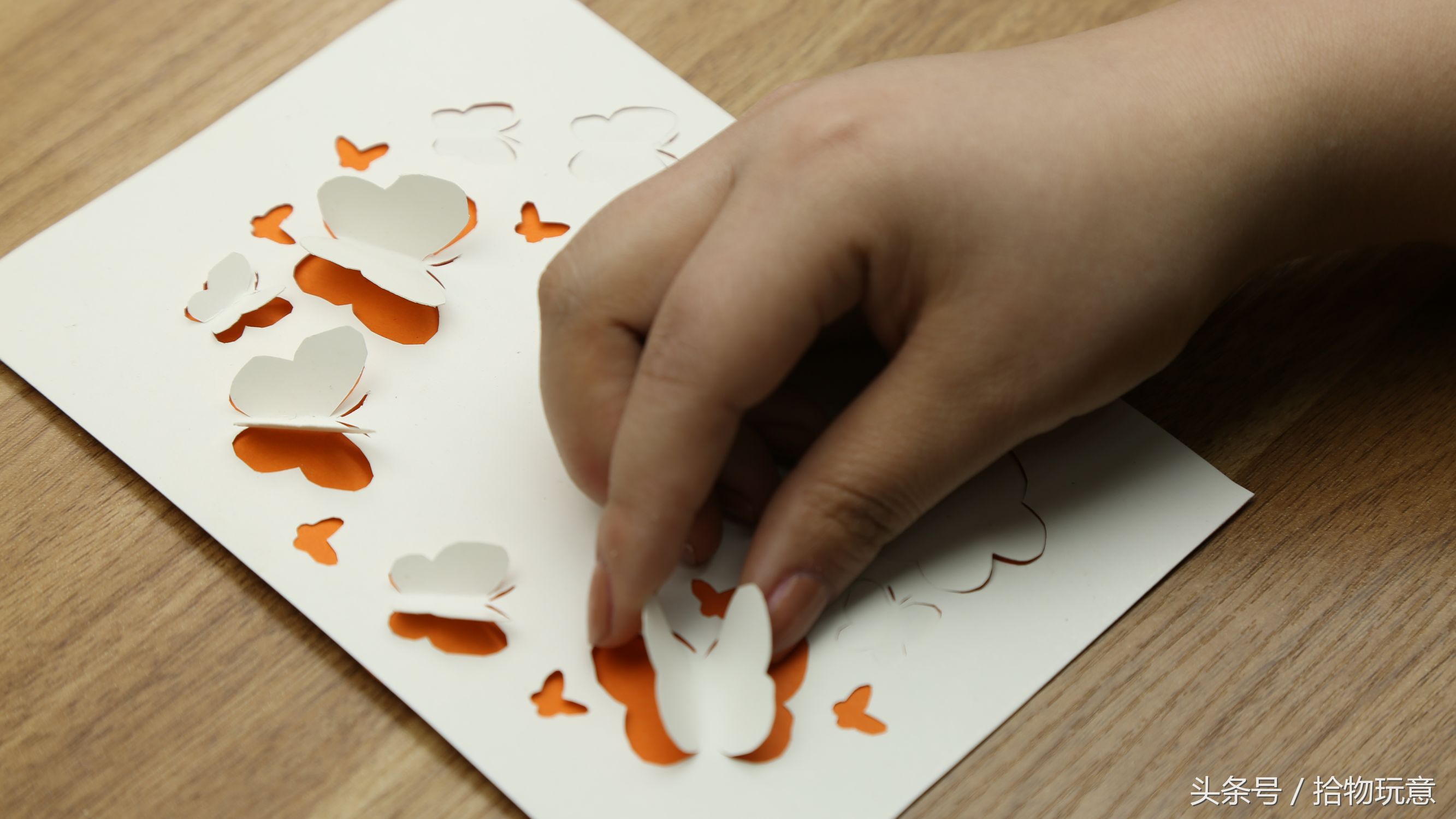 卡纸怎么做成蝴蝶,请用卡纸做出蝴蝶