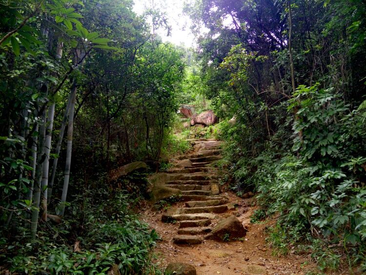 到中山的千年古刹古香林寺旧址周边山林探秘，感觉大自然太美啦