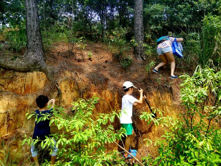 到中山的千年古刹古香林寺旧址周边山林探秘，感觉大自然太美啦